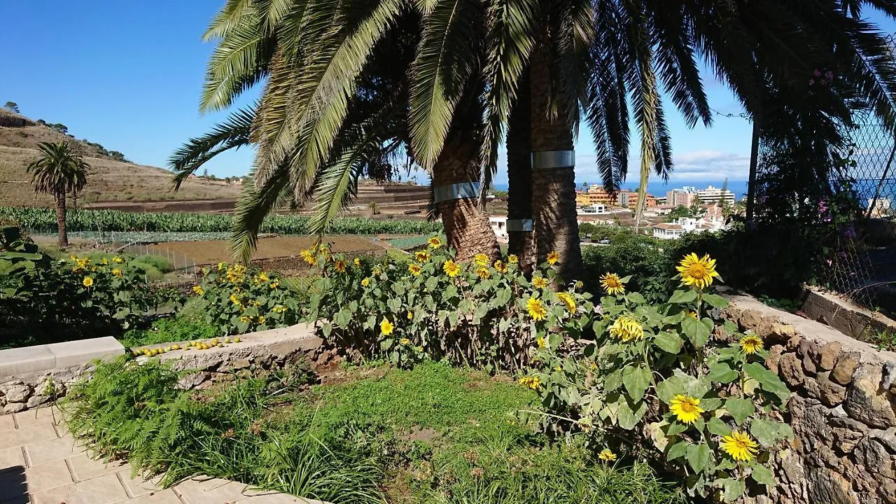 Appartement Cristina Sol H1 à Puerto de la Cruz  Espagne
