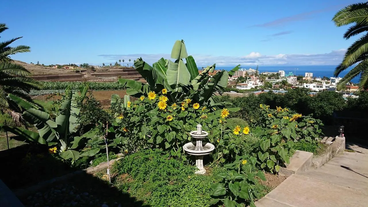 Appartement Cristina Sol H1 à Puerto de la Cruz