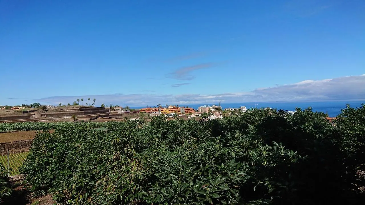 Appartement Cristina Sol H1 à Puerto de la Cruz  Espagne