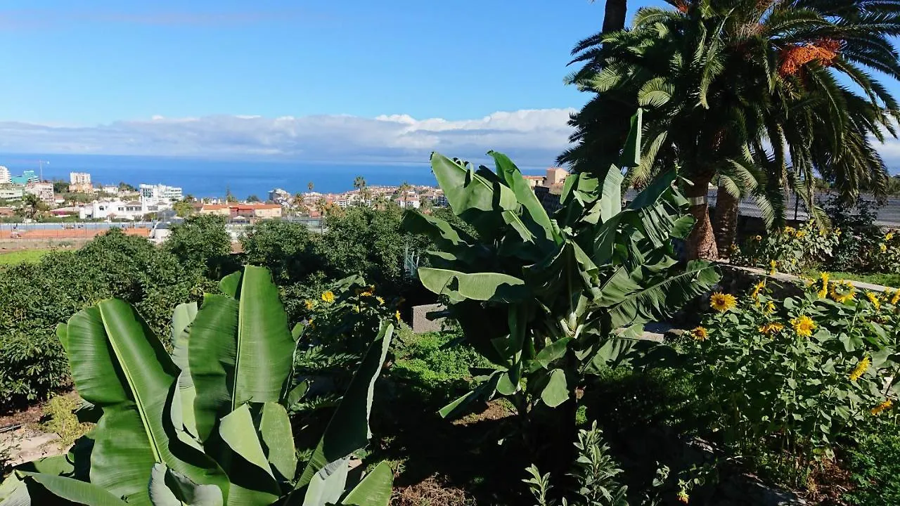 Appartement Cristina Sol H1 à Puerto de la Cruz  Espagne