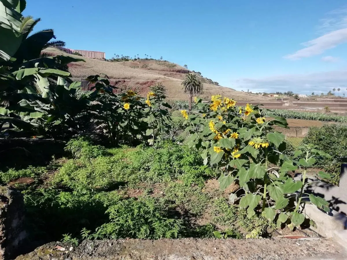 Apartamento Glorieta Casa inmersa en un entorno natural Puerto de la Cruz