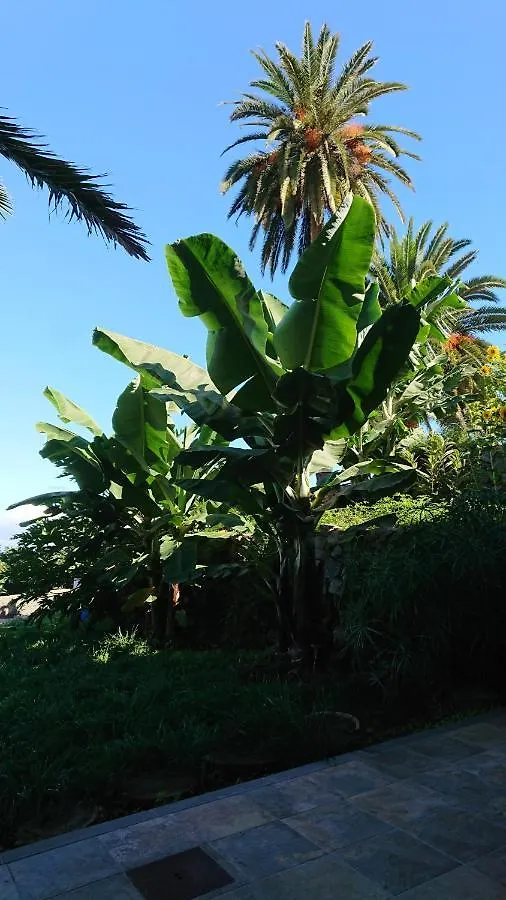 Apartamento Glorieta Casa inmersa en un entorno natural Puerto de la Cruz