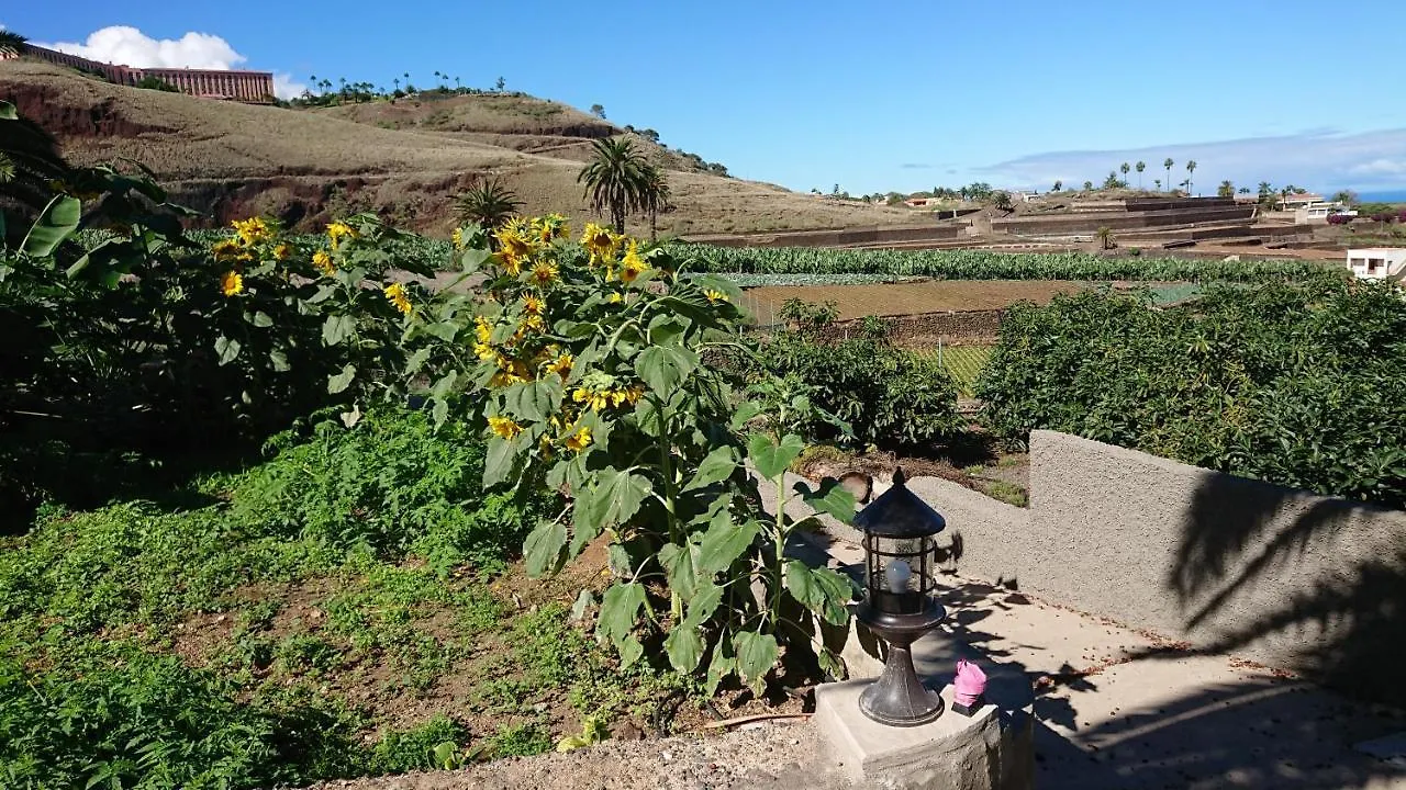 Apartamento Glorieta Casa inmersa en un entorno natural Puerto de la Cruz