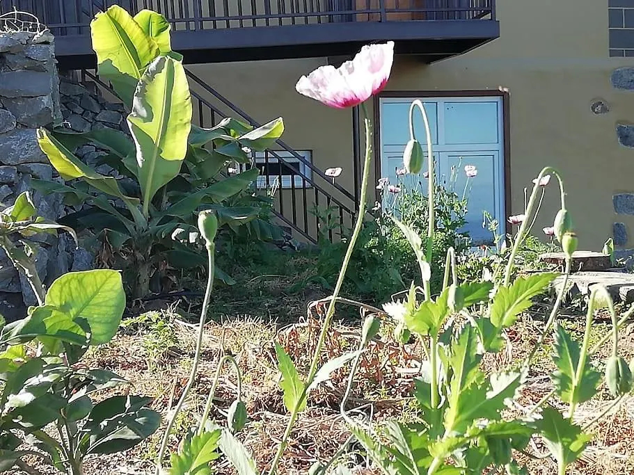 Apartamento Glorieta Casa inmersa en un entorno natural Puerto de la Cruz