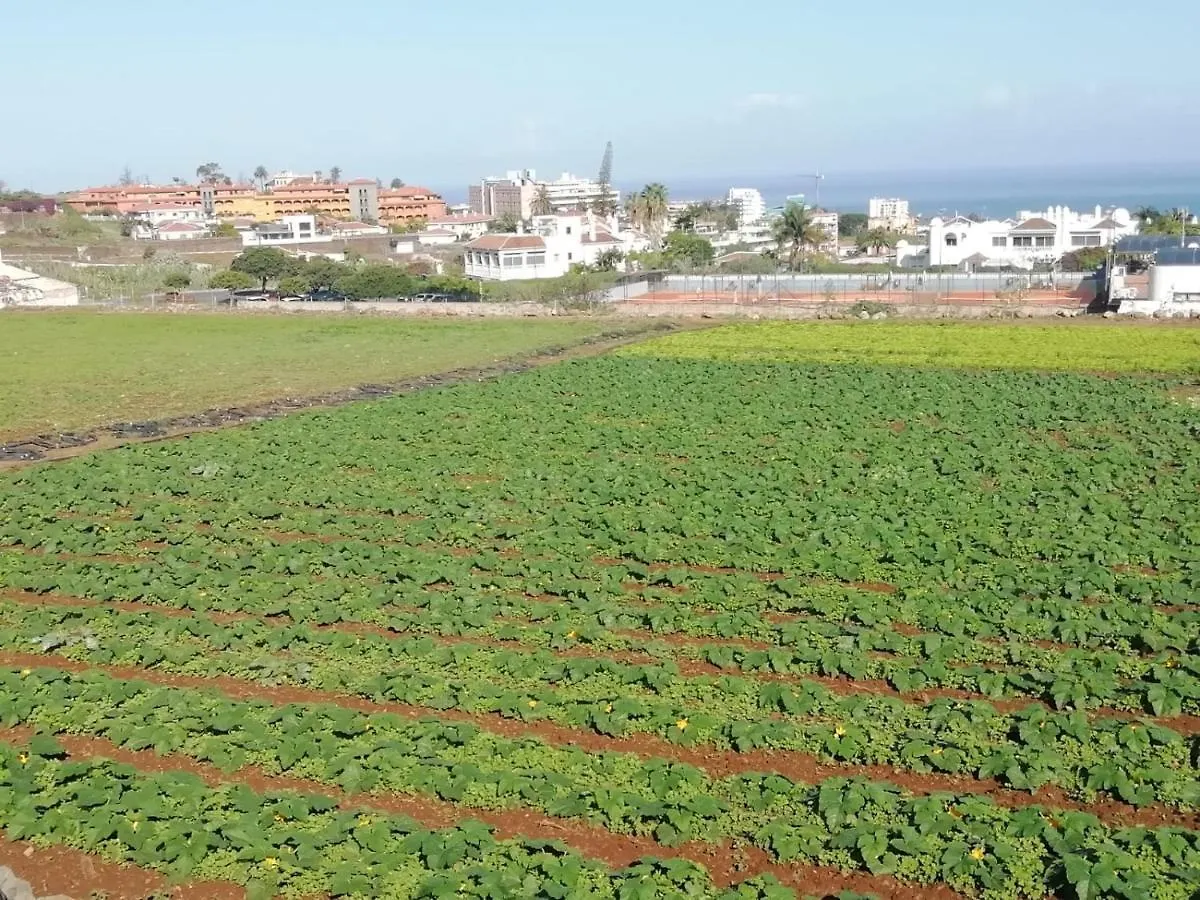 Apartamento Glorieta Casa inmersa en un entorno natural Puerto de la Cruz