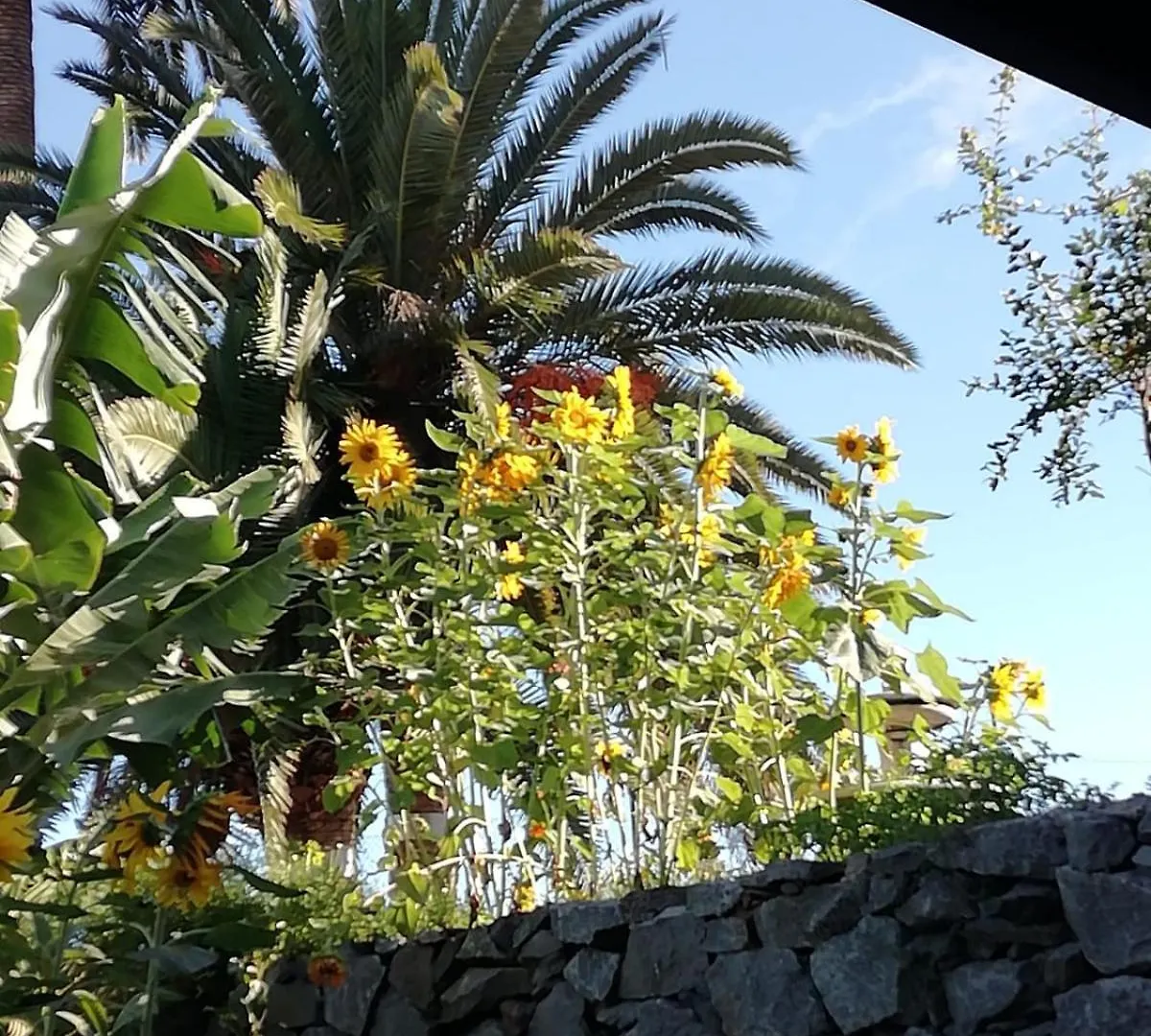Apartamento Glorieta Casa inmersa en un entorno natural Puerto de la Cruz